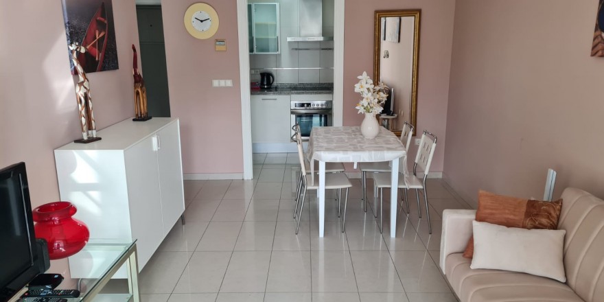 Gemelos 26-2C  salón (3)