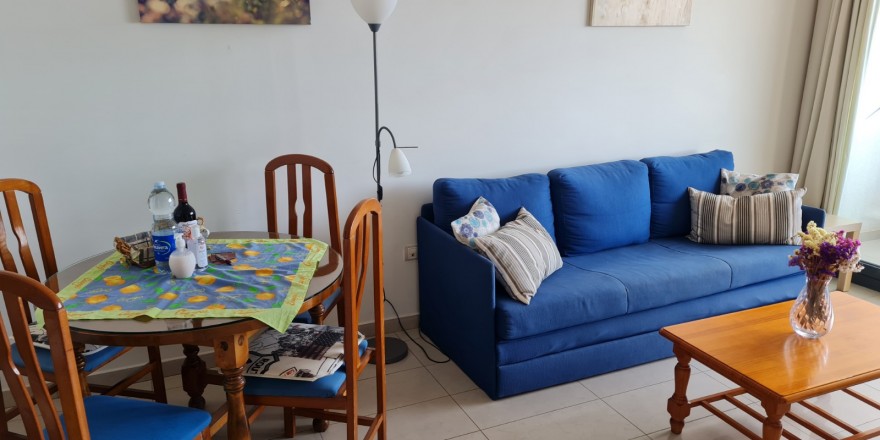 Gemelos 26-20C sofá cama (2)